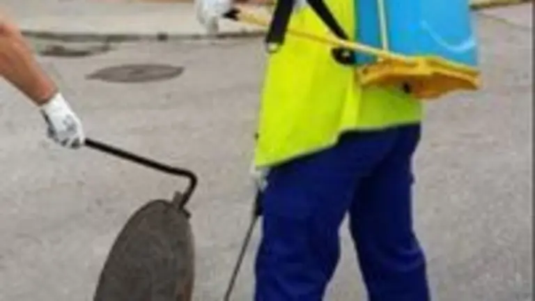 Un operario, en trabajos de desinsectaci&oacute;n.