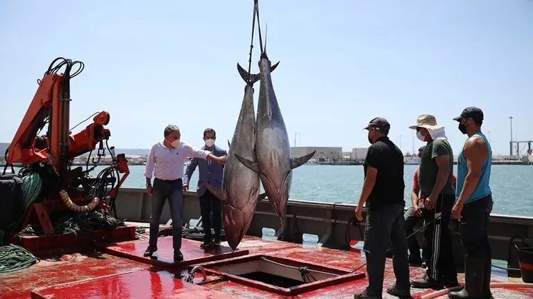 Bendodo en un barco almadrabero
