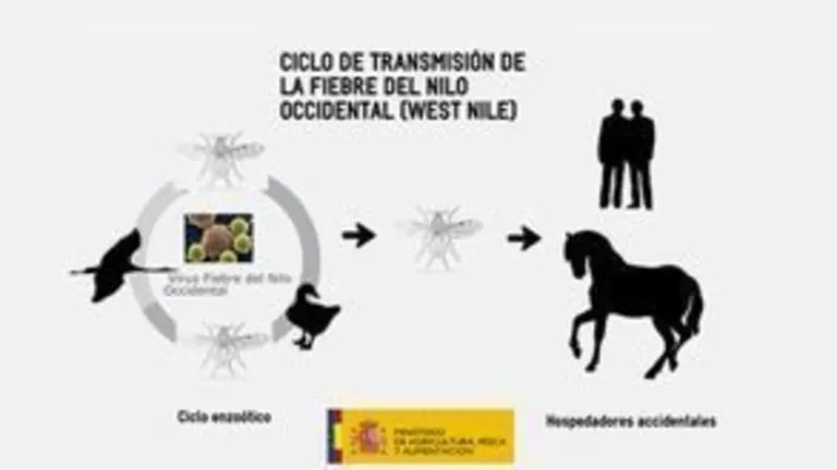 Cartel informativo.