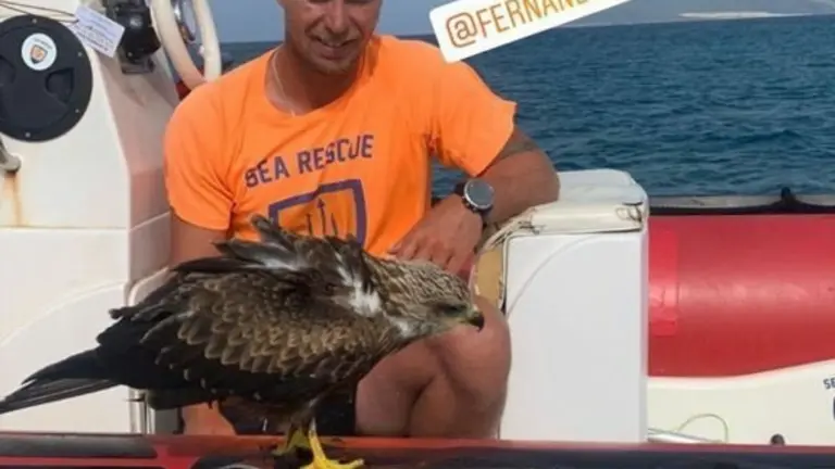 sea rescate