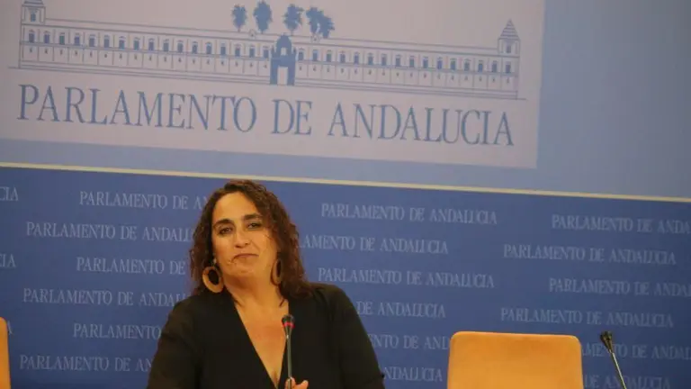 &Aacute;ngela-Aguilera-prensa-parlamento