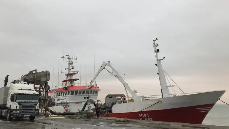 Descarga pesquero Puerto de Dakhla