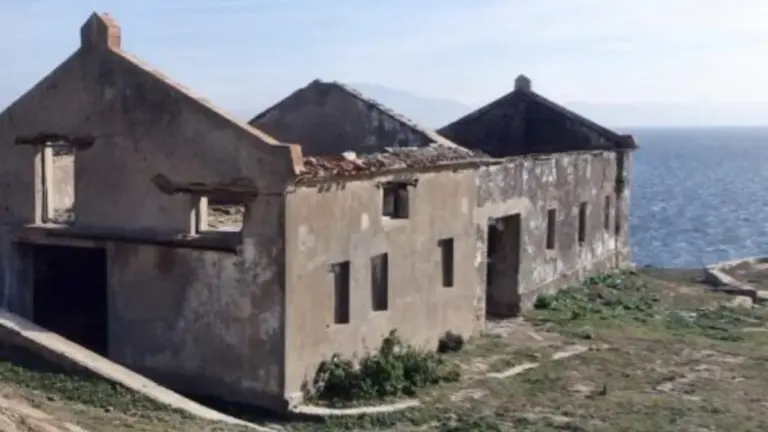 ciscenros