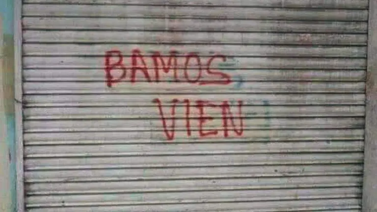 bamos vien