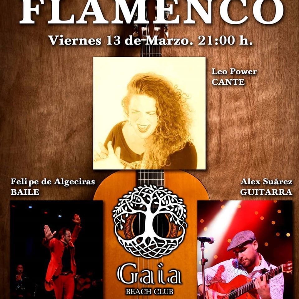 flamenco