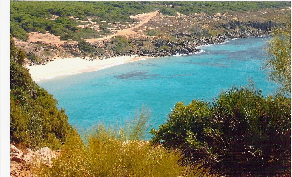 Playa de El Cañuelo.